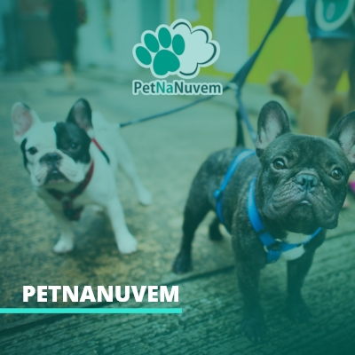 PETNANUVEM